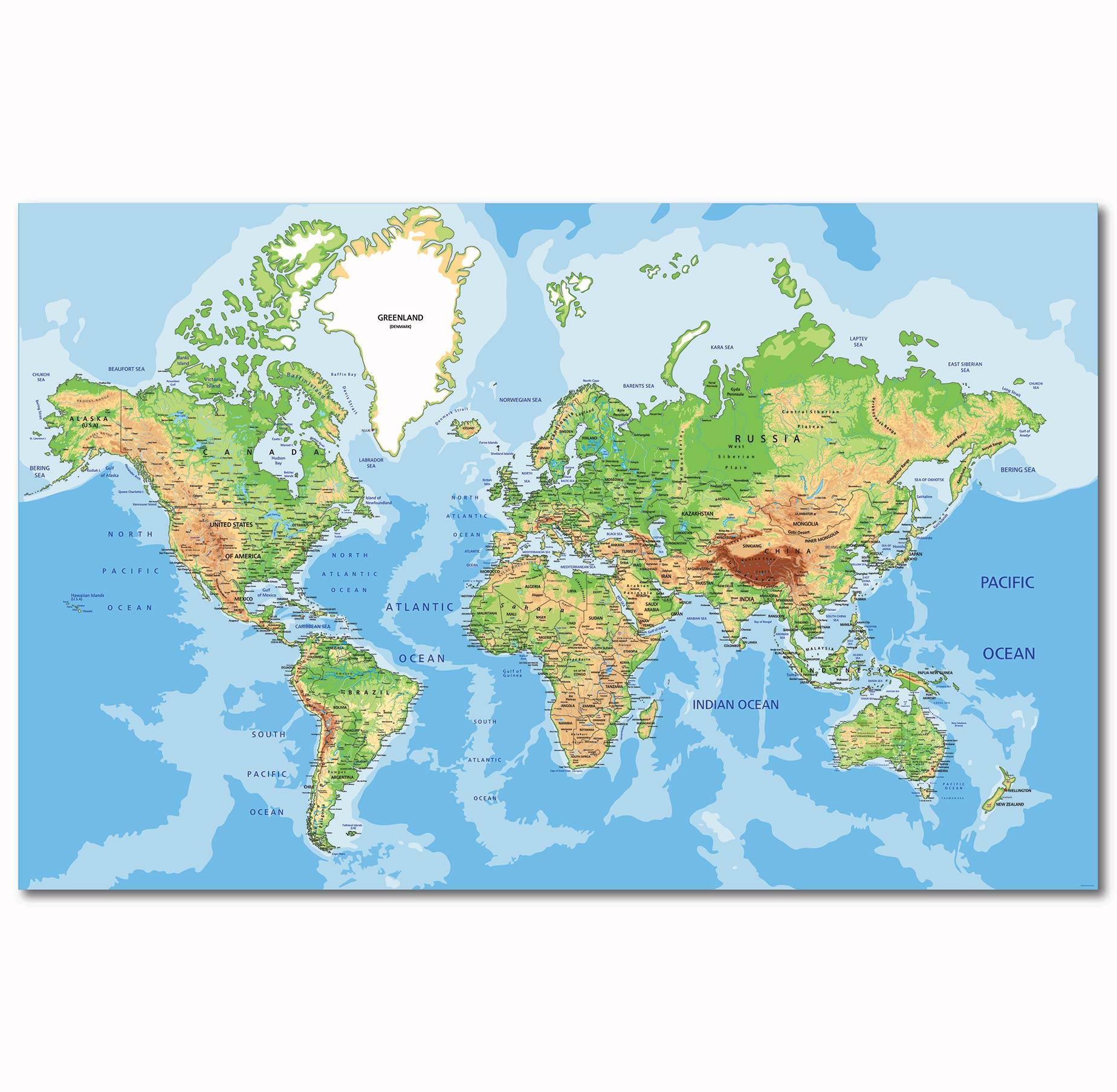 Topographical World Map
