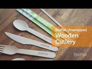 BioPak 10cm Wooden Teaspoons (Case of 2000) - HY-10TS-UK - 3