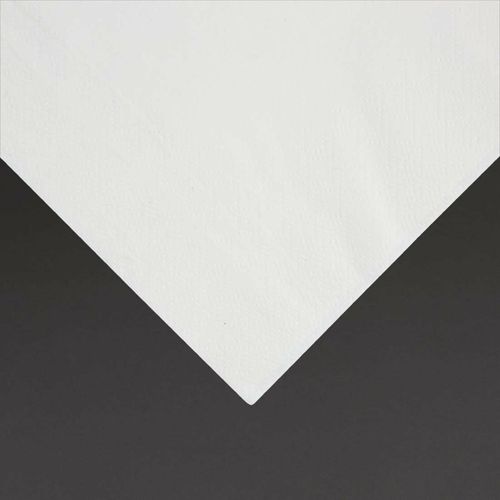 Fiesta Recyclable Lunch Napkin White 33x33cm 2ply 1/4 Fold (Pack of 2000) - FE219 - 3