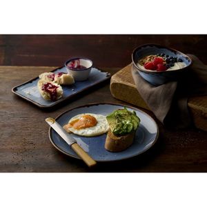 Dudson Harvest Indigo Coupe Plates 285mm (Pack of 12) - HR490 - 3