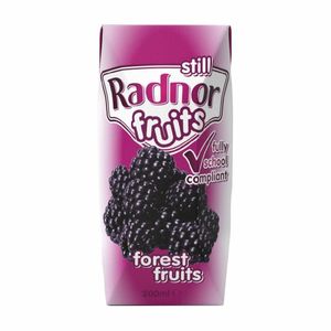 Radnor Fruits Still Tetra Pak Forest Fruits 200ml (Pack of 24) - CZ715 - 1
