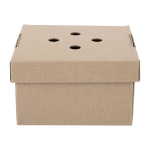 Fiesta Compostable Fold-Out Burger Boxes (100 Pack) - HP942 - 3