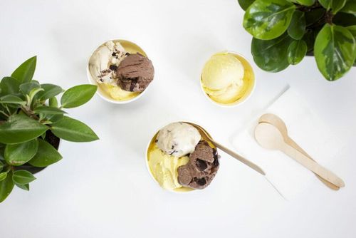 8oz 3 scoop Ice Cream Container (Case of 1000) - 4