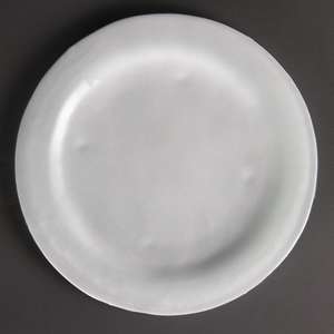 Olympia Round Glass Plates Frosted White 270mm - Case - DM366 - 1