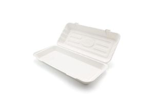 Large Bagasse Bio Box (Full Case of 250) - GP2320027A - 3