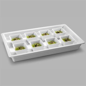 Pujadas 1/1 White Melamine Container 65mm *Clearance - 1