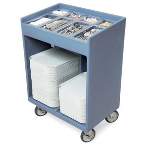 Cambro Tray & Silver Cart - 1