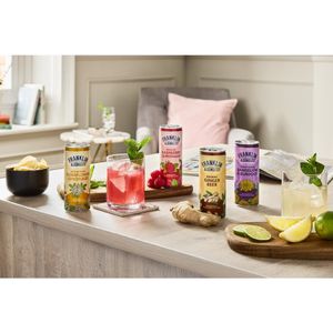 Franklin & Sons Pressed Raspberry Lemonade Cans 250ml (12 Pack) - KA844 - 3