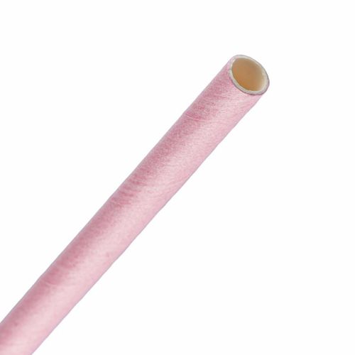 Fiesta Compostable Paper Straws Pink (Pack of 250) - FB139 - 6