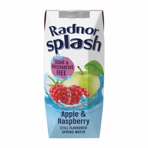 Radnor Splash Tetra Apple & Raspberry 250ml (Pack of 24) - HP972 - 1