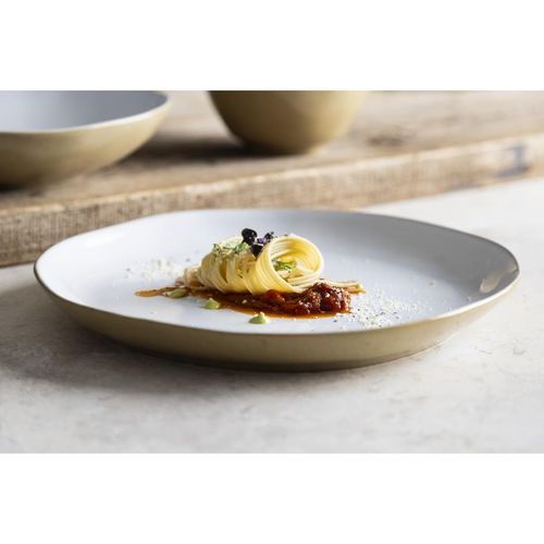Olympia Raw Recycled Clay Natural Coupe Plates 260mm (6 Pack) - HS331 - 12