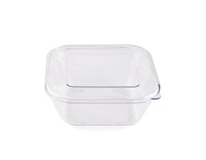 Reusable Clear Copolyester Box 110 Cl 16.8x16.8x7.1cm With Lid - 032782 - 1