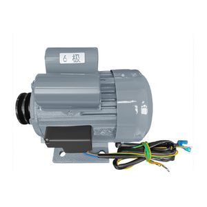 Polar Electric Motor - AU719 - 1