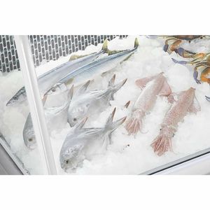 Polar G-Series Fish Display Serve Over Counter Fridge 255Ltr - GE961 - 3