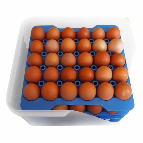 Araven Airtight Container with 4 Egg Trays GN 2/3 200mm - DP209 - 4