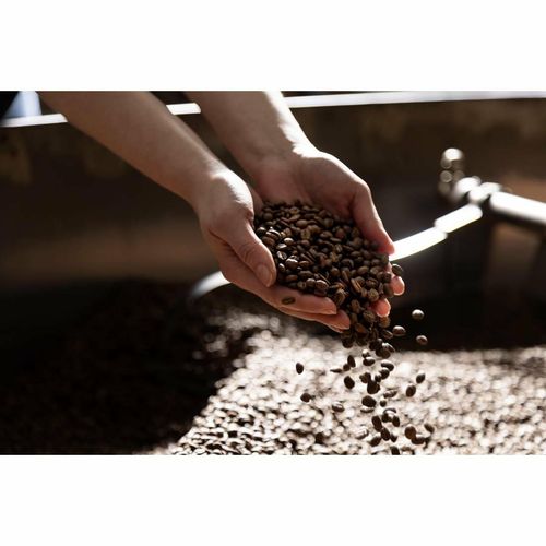 Beaumont No.1 Classico Coffee Omni Grind 57g (Pack of 50) - HS528 - 5