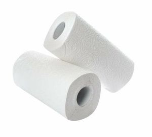 Kitchen Towel Rolls 2 Ply 50 Sheets SPD1838 (24 Rolls per case) - 1