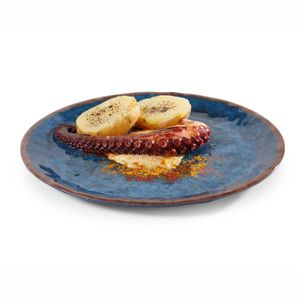Pujadas Water Melamine Plate Diameter275mm *Clearance - 1