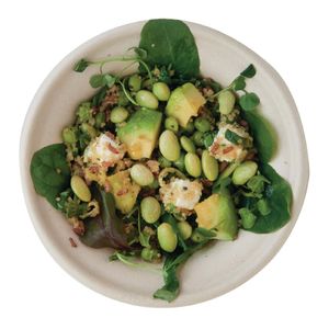 eGreen Eco-Fibre Compostable Wheat Bowls 340ml (Pack of 1000) - FN206 - 3