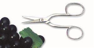 Matfer S/S Scissors Grape/ Sea Urchin - Standard - 121135 - 11689-01