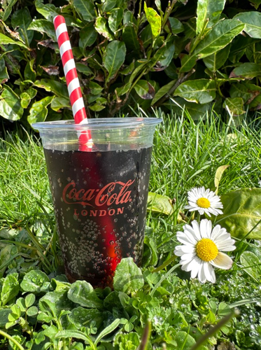 Disposable Plastic Half Pint Cups - Custom Printed - 1