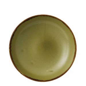 Dudson Harvest Evolve Coupe Bowls Green 248mm (Pack of 12) - FC044 - 1