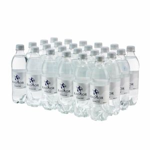 Radnor Hills Sparkling Water 500ml (Pack of 24) - FW855 - 1