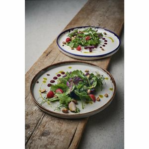 Dudson Harvest Walled Plates Ink 210mm (Pack of 6) - FX152 - 3