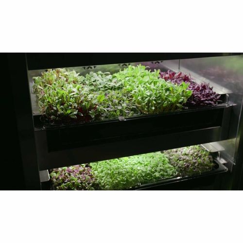 Evogro Plant Growing System 40132-WS R - DF966 - 4