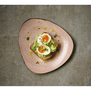 Churchill Stonecast Raw Terracotta Lotus Plate 229mm (Pack of 12) - CU658 - 3