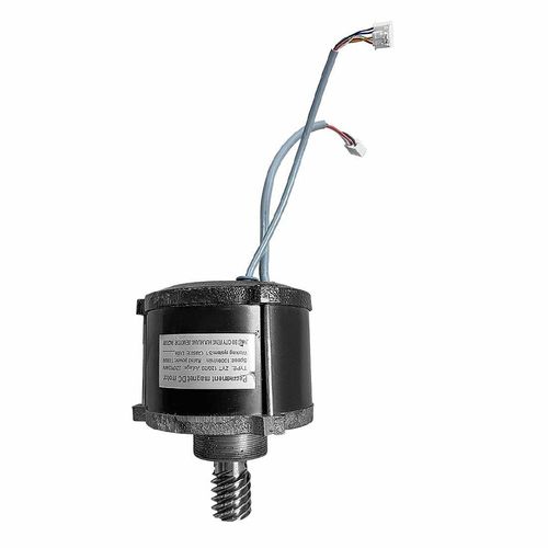 Buffalo Motor Assembly - AS112 - 1