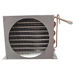 Polar Condenser - AS391 - 1