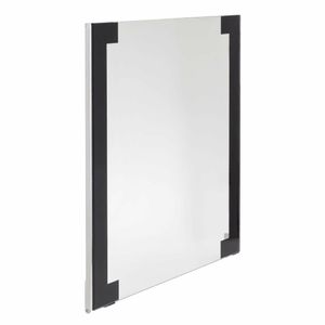 Buffalo Combi Exterior Glass Oven Mod - AP165 - 3