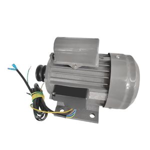 Polar Electric Motor - AS437 - 1