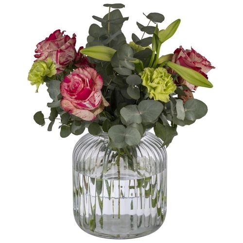 APS Cookiego Storage Jar 3.7Ltr - JD154 - 4