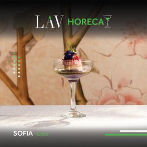 Sofia Champagne Saucer 23.5cl/ 8.25oz (Pack of 12) - SOF523KH - 3