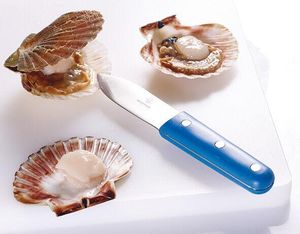 Saint Jacques Scallop Knife Blue - 11684-01 - 1