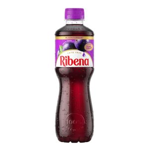 Ribena Bottles 500ml (24 Pack) - KA829 - 1