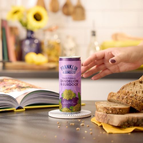 Franklin & Sons Traditional Dandelion & Burdock Cans 250ml (12 Pack) - KA847 - 2