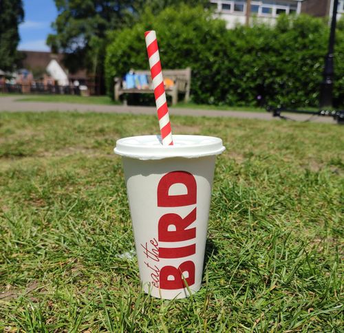 Custom Printed 16oz Single Wall Paper Cups - Custom Branded 16oz Single Walled Paper Cups - Bespoke Paper Cold Cups 16oz - 4