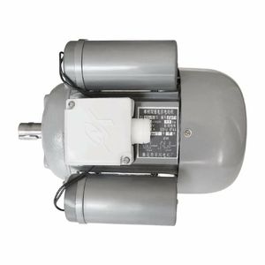 Buffalo Motor - AJ059 - 1