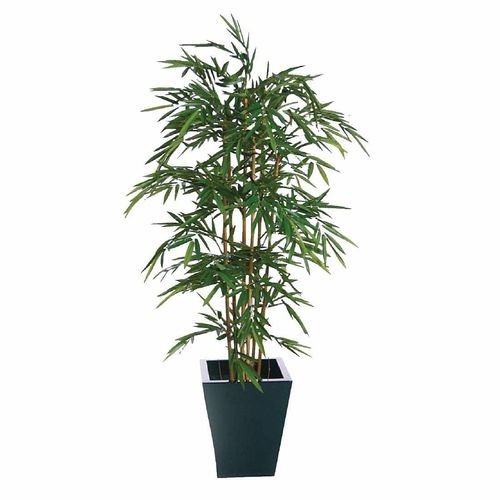Natural Bamboo 1500mm - CC575 - 1