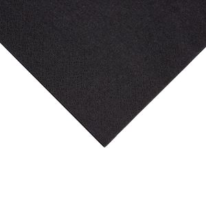 Fiesta Recyclable Cocktail Napkin Black 24x24cm 2ply 1/4 Fold (Pack of 4000) - FE218 - 3