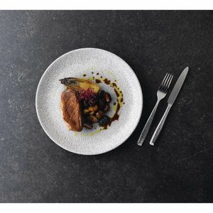 Churchill Raku Jasper Grey Evolve Coupe Plate 8.67 (Box 12) (Direct) - FD880 - 3