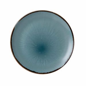 Dudson Harvest Evolve Coupe Plates Blue 260mm (Pack of 12) - FC054 - 1