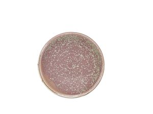 Terra Porcelain Rose Low Presentation Plate 21cm (Pack of 6) - LP-PRS21 - 3