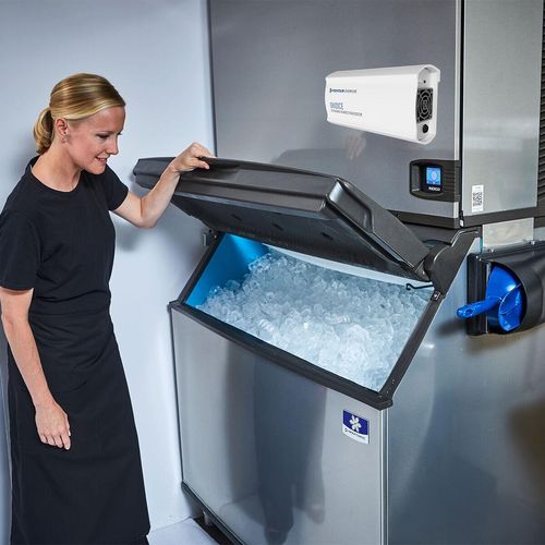 Pentair Everpure Oxidice Ozone Sanitation System - 3