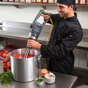 Hamilton Beach Commercial BigRig Stick Blender with 305mm Stainless Steel Shaft - 1