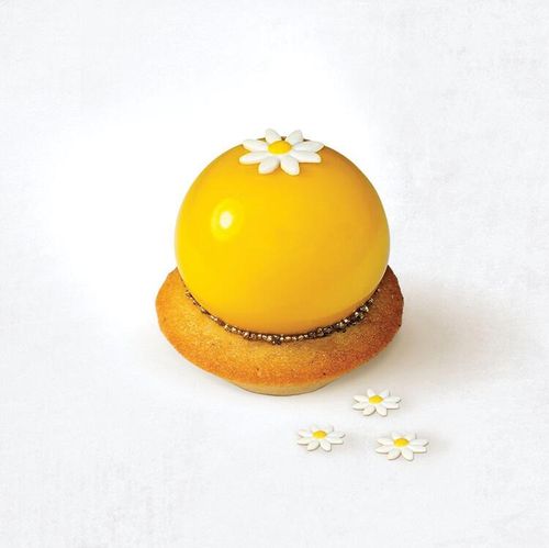 Maison Demarle Flexipan Inspiration Tray Of 8 Silicone 3d Sphere Moulds 4.5cm - 13047-01 - 1