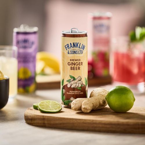 Franklin & Sons Brewed Ginger Beer Cans 250ml (12 Pack) - KA846 - 6